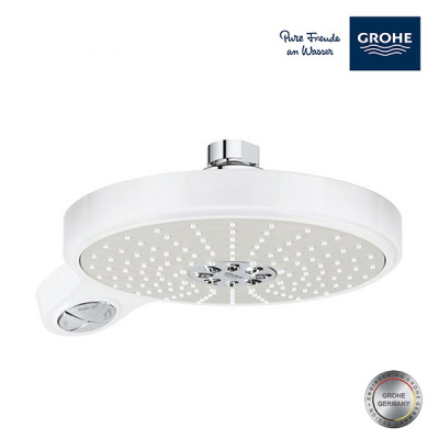 Grohe Power & Soul Hand Shower