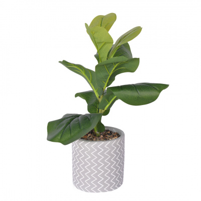 Heim Potted Plant Pot
