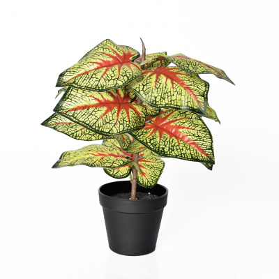 Heim Caladium Artificial Plant
