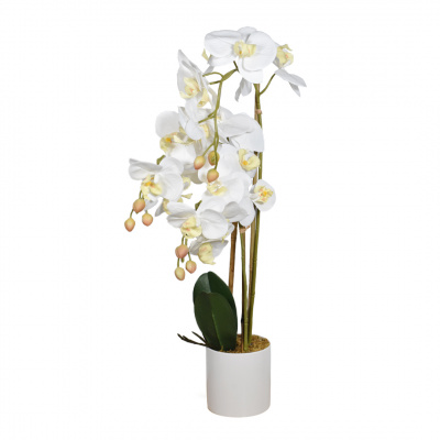 Heim Artificial Orchid