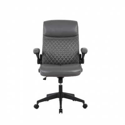 Heim Elon Modern Executive Office Chair with Arms