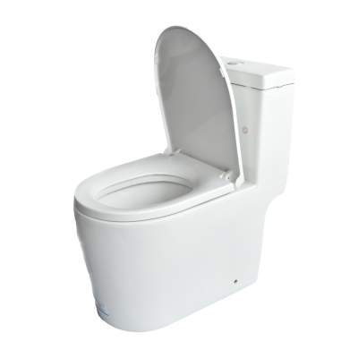 Pozzi Theo One Piece Watercloset
