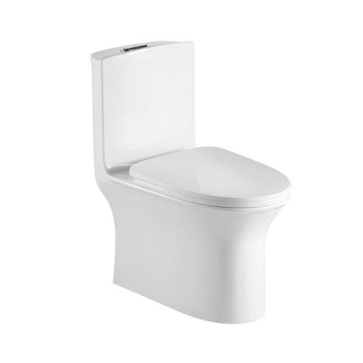 Pozzi Seron One Piece Watercloset