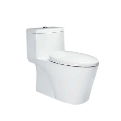 Pozzi Paride One Piece Watercloset