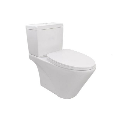 Pozzi Davide Two Piece Watercloset