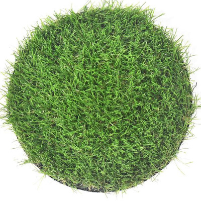 P.Tech Leisure Eco Grass