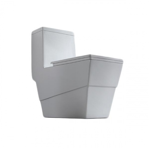 Pozzi Clove 1 PC Watercloset with Tank Fittings and Seat Cover