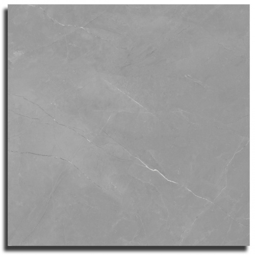 Saigres Antelope Series Matte Floor Tile 60x60cm