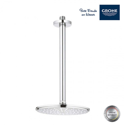 Grohe Ceiling Shower Arm
