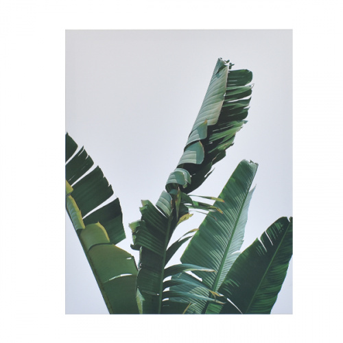 Heim Printed Canvas Wall Decor