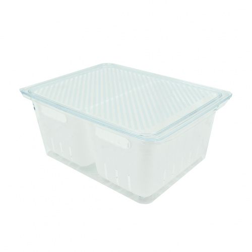 Kessel Fridge Bin Clear Organizer