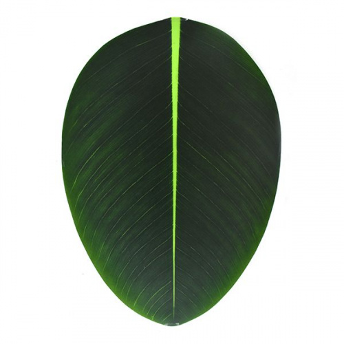 Kessel Tropica Placemat