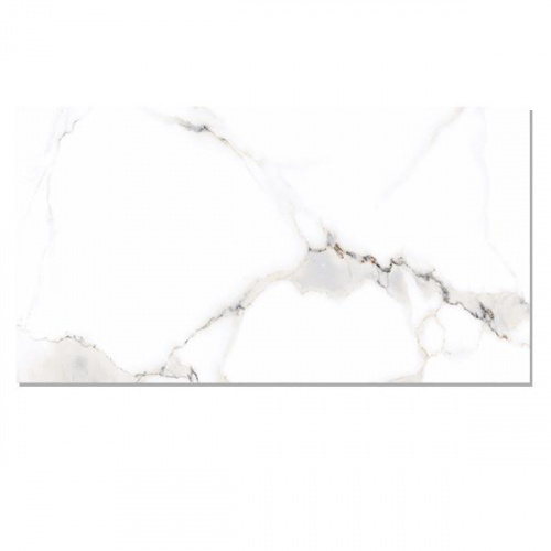 Basel Arriana Glossy Wall Tile 30x60cm
