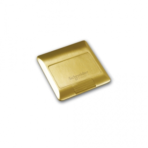 Schneider Empty Floor Socket with Wall Box Brass