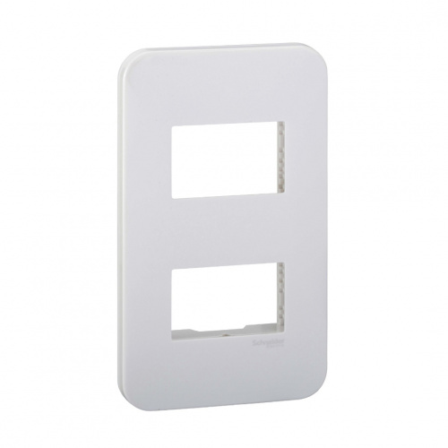 Schneider 2 Gang Vertical Flush Plate