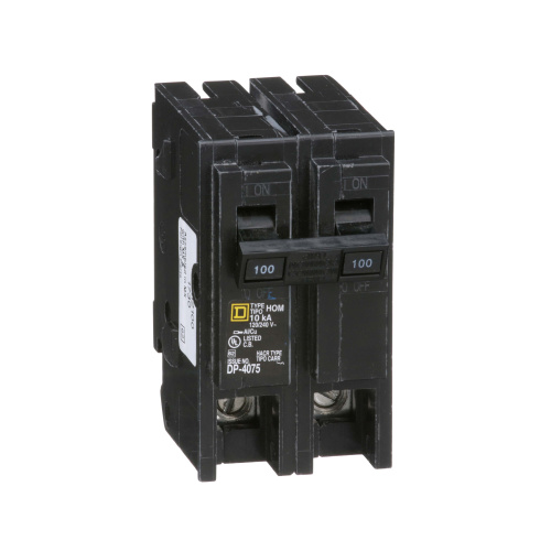 Schneider Homeline 2poles 100amp Plug-In Mini circuit Breaker