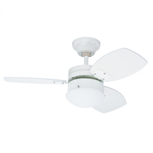 Hunter 30in Sprite Revolution Ceiling Fan with Light