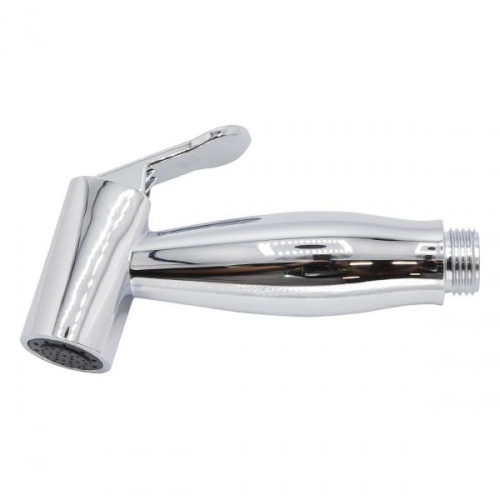 Pozzi Hand Bidet Head