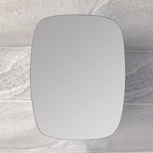 Pozzi Single Door Cabinet Mirror