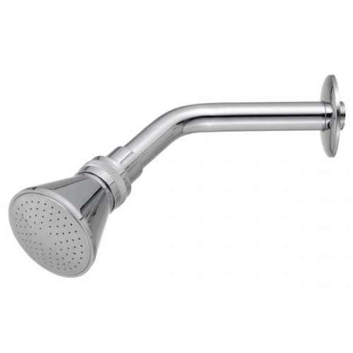 Pozzi Wall Shower Head