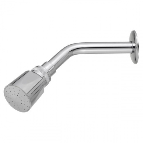 Pozzi Wall Shower Head