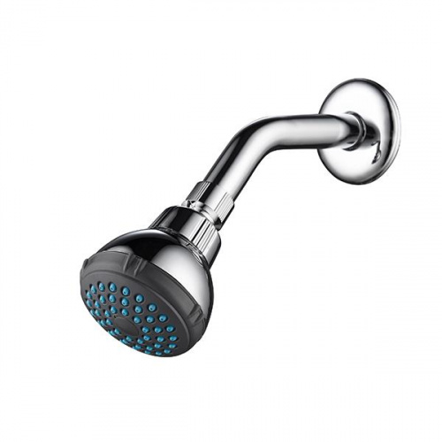 Pozzi Wall Shower Head