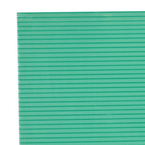 P.Tech Twin Wall Polycarbonate Sheet