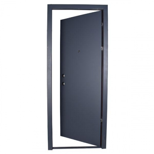 P.Tech Steel Door
