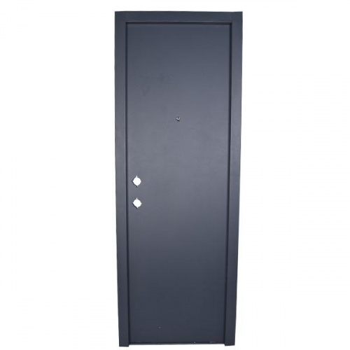 P.Tech Steel Door