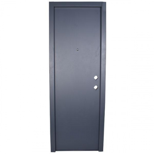 P.Tech Steel Door