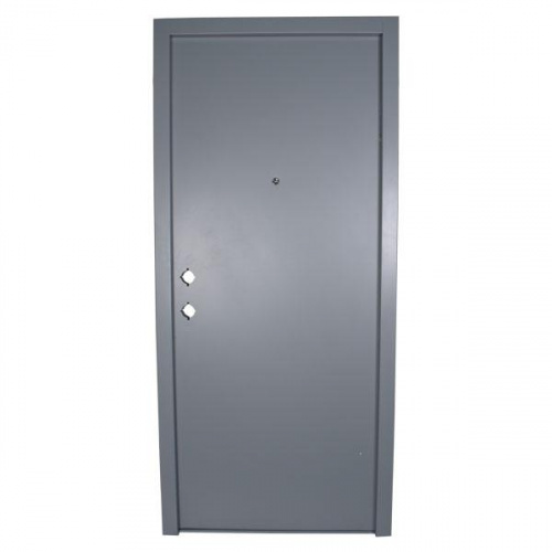 P.Tech Steel Door