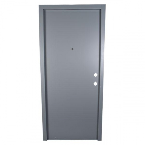 P.Tech Steel Door