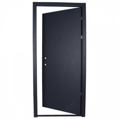 P.Tech Steel Door