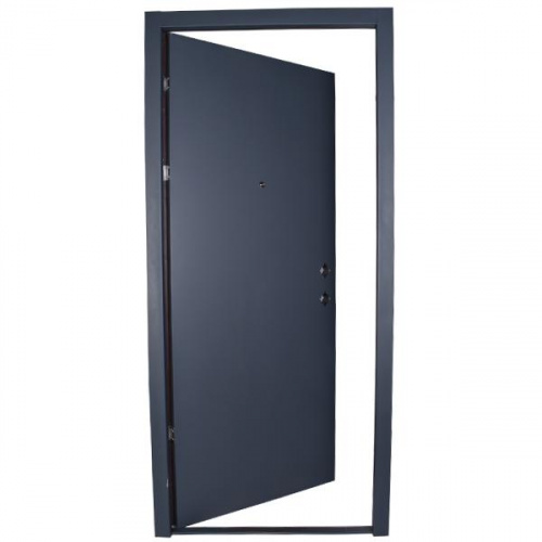 P.Tech Steel Door