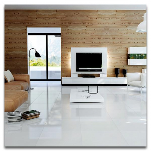 Eco Ceramica Glossy Semi Porcelain Floor Tile 60.8x60.8cm