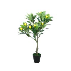 Heim Lemon Tree with Pot