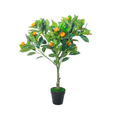 Heim Orange Tree with Pot