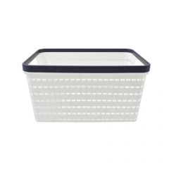 Home Basics Basket Organizer