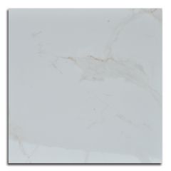 Eco Ceramica Polished Floor Tile