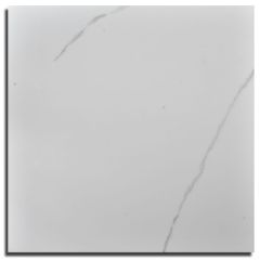 Eco Ceramica Polished Floor Tile