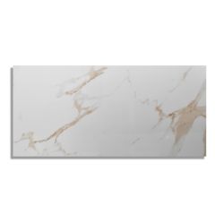 Eco Ceramica Glossy Floor Tile