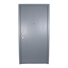 P.Tech Steel Door