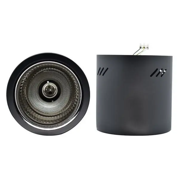 Alphalux downlight hot sale