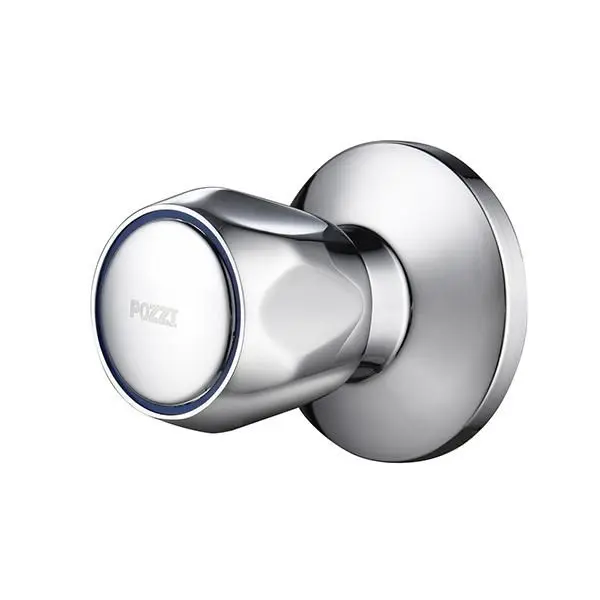 Pozzi Shower Valve